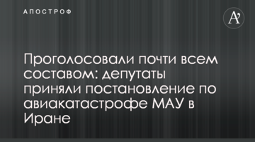 Проголосовали почти всем составом: депутаты приняли постановление по авиакатастрофе МАУ в Иране