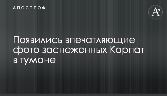 З'явилися вражаючі фото засніжених Карпат в тумані