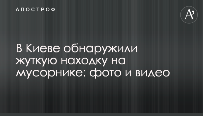 В Киеве обнаружили жуткую находку на мусорнике: фото и видео