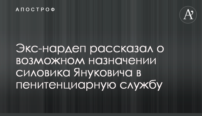 Экс-нардеп рассказал о возможном назначении силовика Януковича в пенитенциарную службу