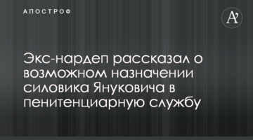 Екс-нардеп розповів про можливе призначення силовика Януковича у пенітенціарну службу