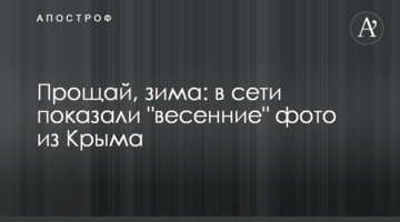 Прощай, зима: в сети показали "весенние" фото из Крыма