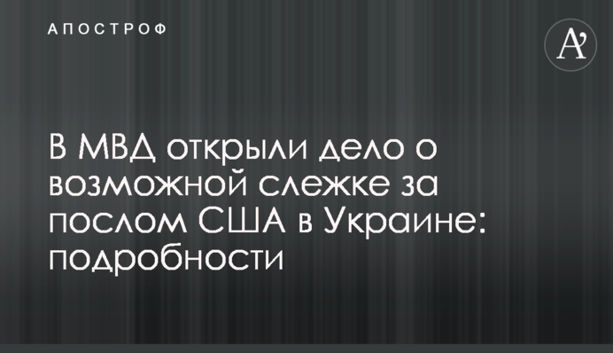 У МВС порушили справу про можливе стеження за послом США в Україні: подробиці