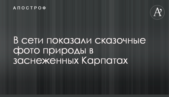 У мережі показали казкові фото природи в засніжених Карпатах