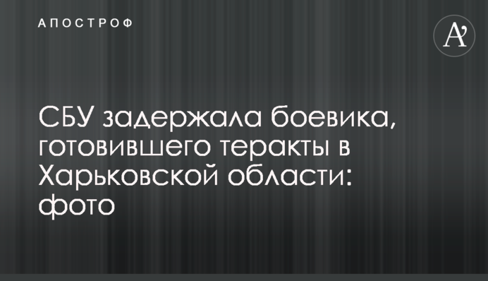 СБУ затримала бойовика, який готував теракти в Харківській області: фото