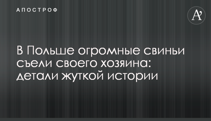 В Польше огромные свиньи съели своего хозяина: детали жуткой истории