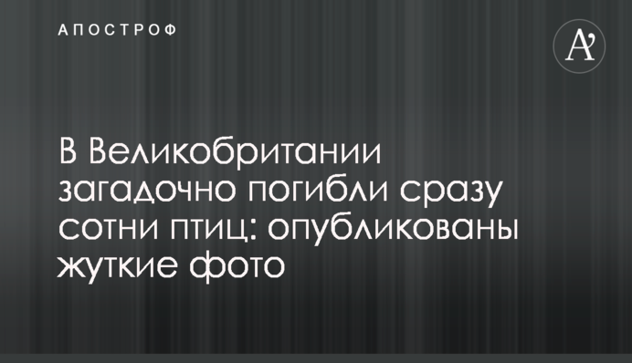 Дважды потерпел от грабителей: СМИ рассказали про злоключения одесского прокурора