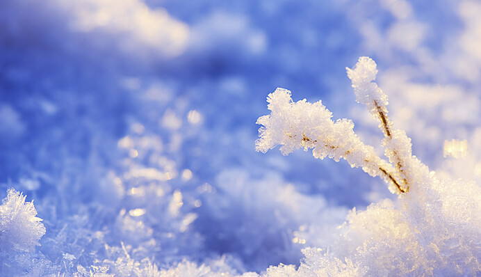 В Украине начало снежить: синоптик рассказала, ждать ли больших осадков