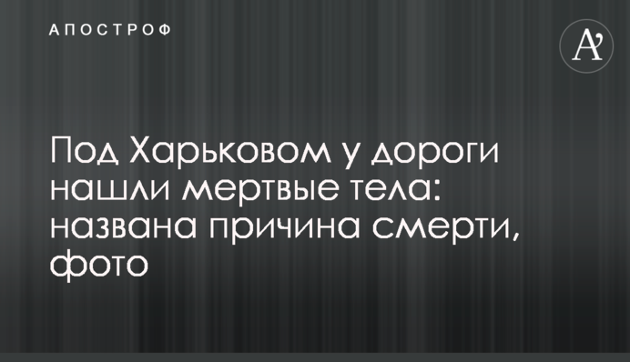 Під Харковом у дороги знайшли мертві тіла: названа причина смерті, фото