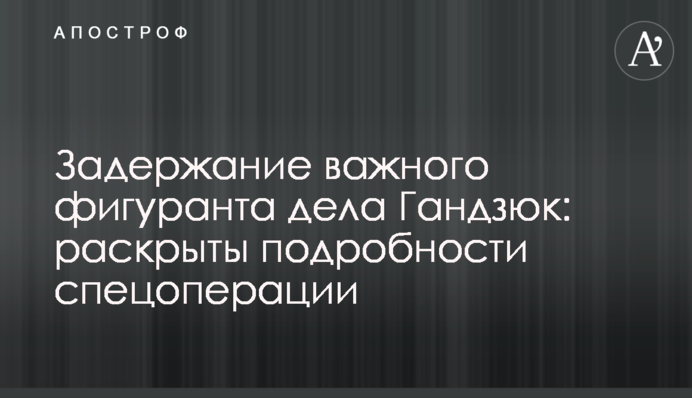 Затримання важливого фігуранта справи Гандзюк: розкрито подробиці спецоперації