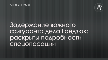 Затримання важливого фігуранта справи Гандзюк: розкрито подробиці спецоперації