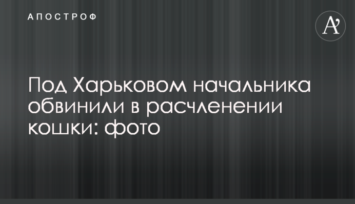 Під Харковом начальника звинуватили в розчленуванні кішки: фото