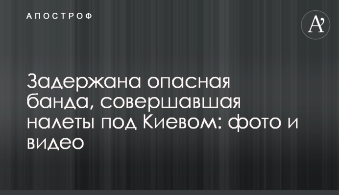 Затримано небезпечну банду, яка скоювала нальоти під Києвом: фото і відео