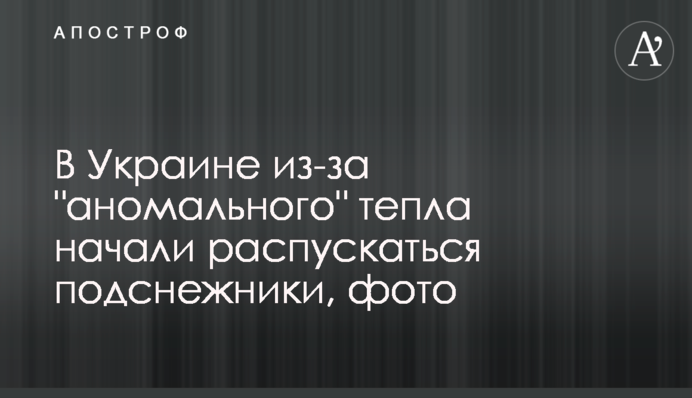 В Украине из-за 