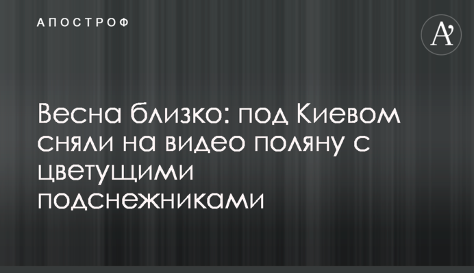 Весна близко: под Киевом сняли на видео поляну с цветущими подснежниками