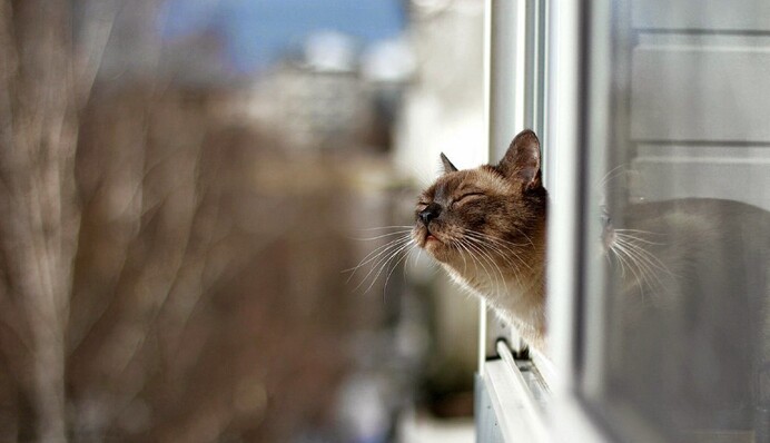 Під владою антициклону: синоптик уточнила, коли чекати нової хвилі потепління