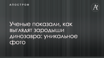Вчені показали, як виглядають зародки динозавра: унікальне фото