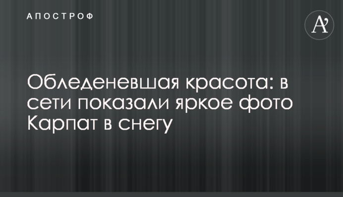 Обледеневшая красота: в сети показали яркое фото Карпат в снегу