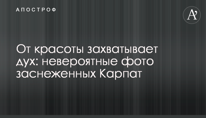 От красоты захватывает дух: невероятные фото заснеженных Карпат