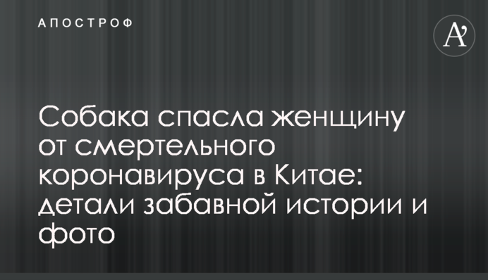 Собака спасла женщину от смертельного коронавируса в Китае: детали забавной истории и фото