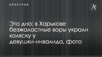 Это дно: в Харькове безжалостные воры украли коляску у девушки-инвалида, фото