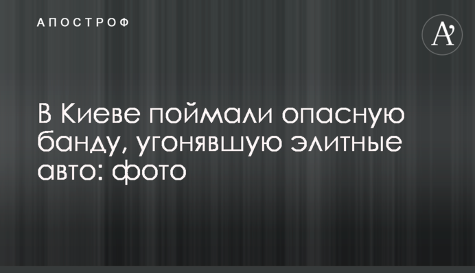 В Киеве поймали опасную банду, угонявшую элитные авто: фото