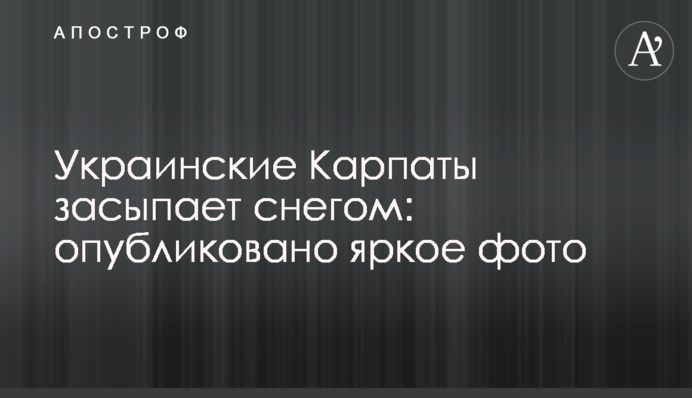 Украинские Карпаты засыпает снегом: опубликовано яркое фото