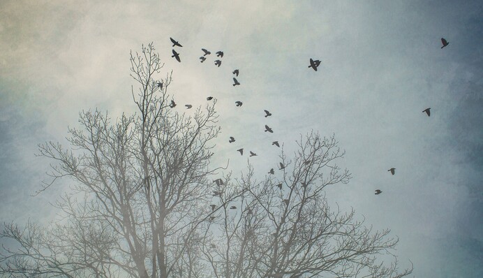 Будут большие аномалии: синоптик рассказал украинцам, чего ждать в феврале