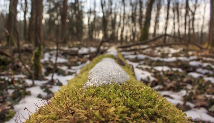 В Украине немного потеплеет, но: синоптик заинтриговала прогнозом