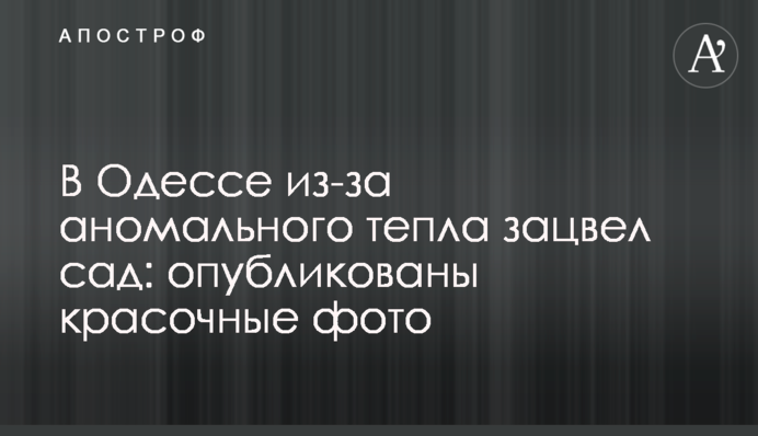 В Одесі через аномальне тепло зацвів сад: опубліковано барвисті фото
