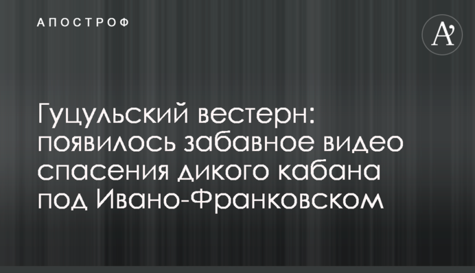 Гуцульський вестерн: з'явилося кумедне відео порятунку дикого кабана під Івано-Франківськом