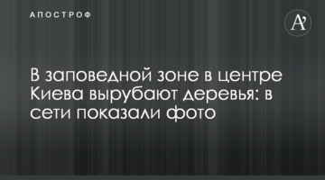 У заповідній зоні в центрі Києва вирубують дерева: в мережі показали фото