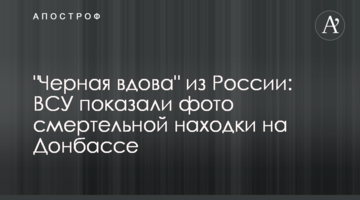 "Черная вдова" из России: ВСУ показали фото смертельной находки на Донбассе