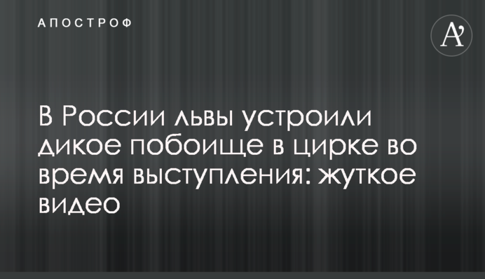 У Росії леви влаштували дике побоїще в цирку під час виступу: моторошне відео