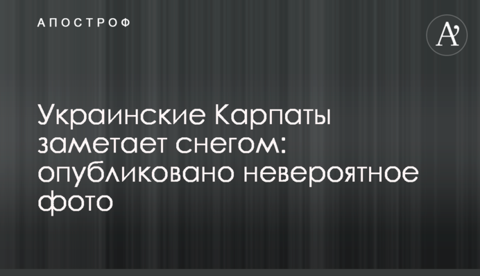 Украинские Карпаты заметает снегом: опубликовано невероятное фото