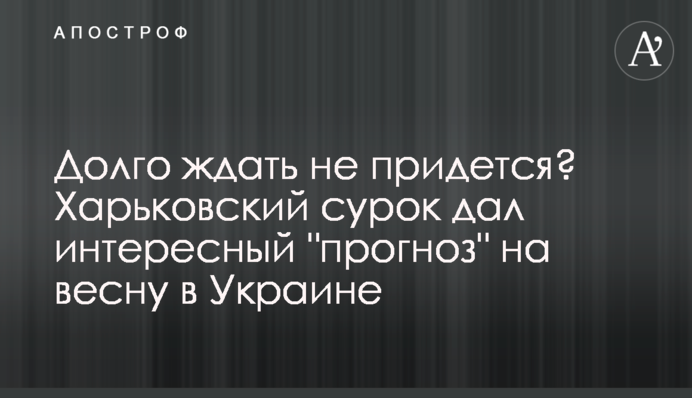 Долго ждать не придется? Харьковский сурок дал интересный 