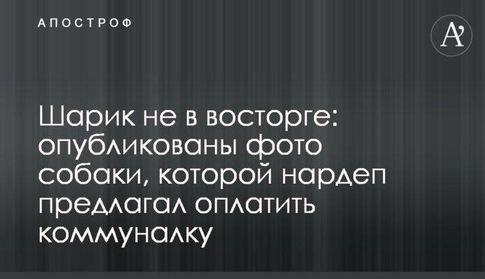 Шарик не в восторге: опубликованы фото собаки, которой нардеп предлагал оплатить коммуналку