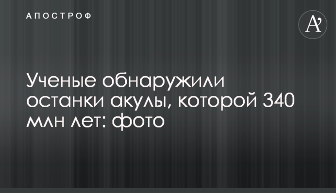 Ученые обнаружили останки акулы, которой 340 млн лет: фото