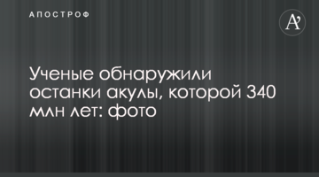 Вчені виявили останки акули, якій 340 млн років: фото