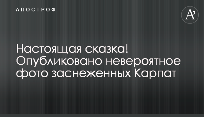 Справжня казка! Опубліковано неймовірне фото засніжених Карпат