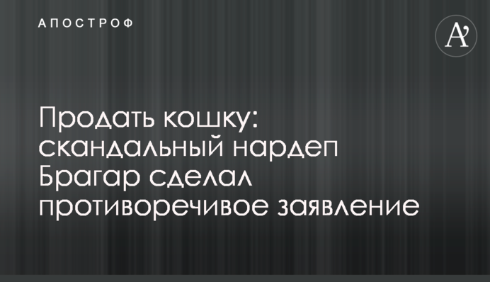 Продать кошку: скандальный нардеп Брагар сделал противоречивое заявление