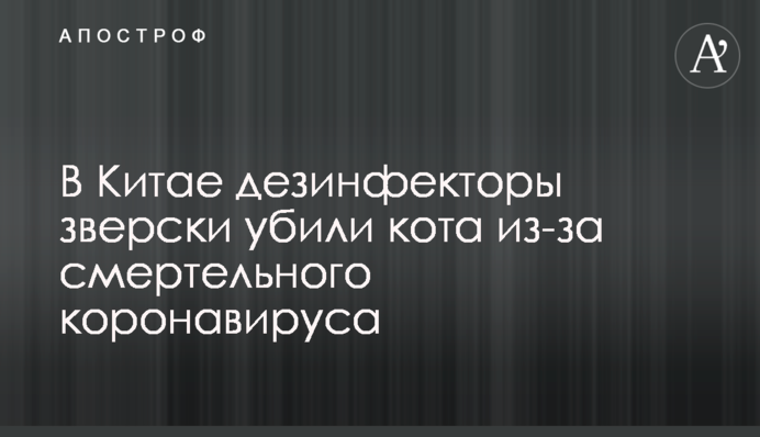 В Китае дезинфекторы зверски убили кота из-за смертельного коронавируса