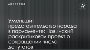 Зменшить представництво народу в парламенті: Новинський розкритикував проект про скорочення числа депутатів