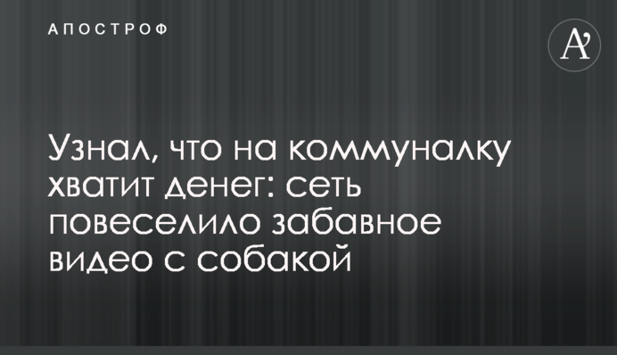 Дізнався, що на комуналку вистачить грошей: мережу повеселило кумедне відео з собакою