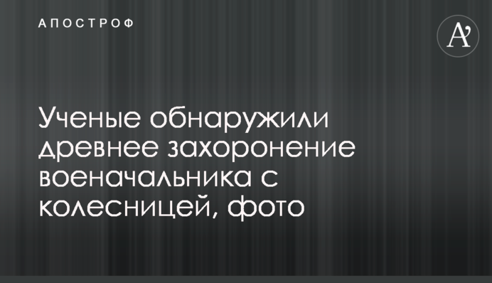 Вчені виявили стародавнє поховання воєначальника з колісницею, фото