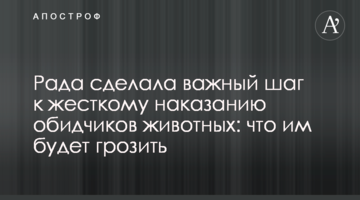 Рада зробила важливий крок до жорсткого покарання кривдників тварин: що їм буде загрожуватиме