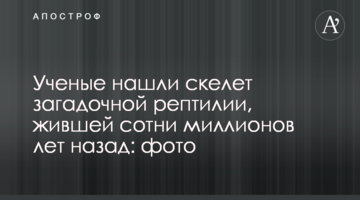 Вчені знайшли скелет загадкової рептилії, яка жила сотні мільйонів років тому: фото