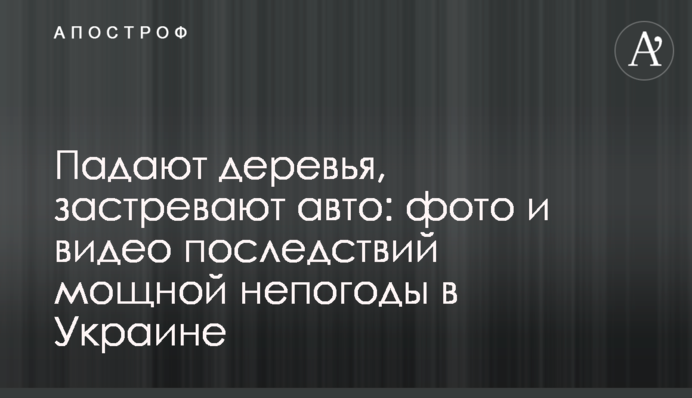 Падають дерева, застряють авто: фото і відео наслідків потужної негоди в Україні