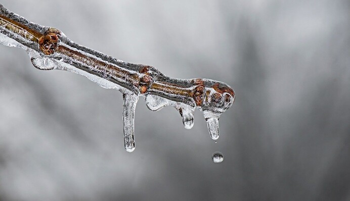 Морозы спадают: синоптики дали прогноз на 8 февраля