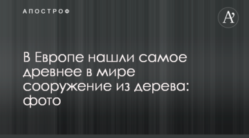 У Європі знайшли найдавнішу в світі споруду з дерева: фото
